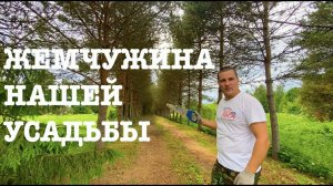 #151. Всего понемногу. Лето в деревне:) [Жизнь на своей земле]