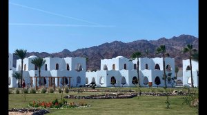 Safir Dahab Resort 5*. Видеообзор отеля в Дахабе. Египет