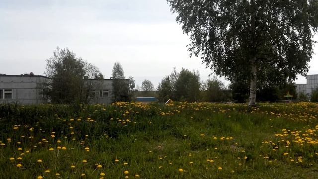 Эжва-2014. Пух, май. смотреть онлайн