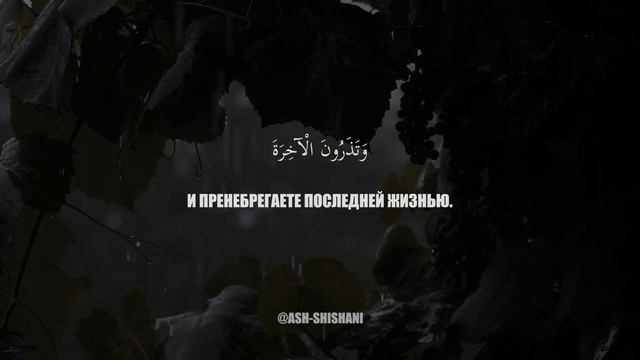 СУРА 75 : AL-QIYAMAH (ВОСКРЕСЕНИЕ). МАХЬДИ АШ-ШИШАНИ смотреть онлайн