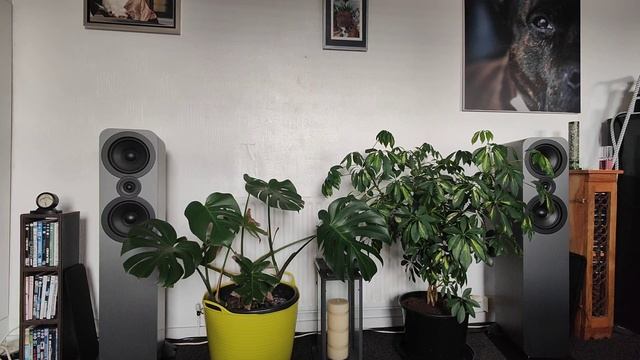 q acoustics 3050i смотреть онлайн