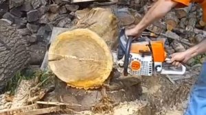 Stihl 361 vs Stihl 036 | 60cc Face-Off!