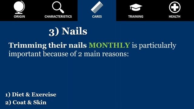 DOGO ARGENTINO - Franky the largest one смотреть онлайн