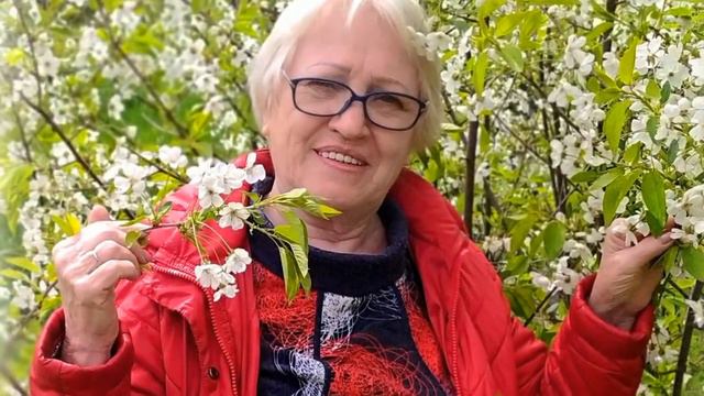 Палитра жизни смотреть онлайн