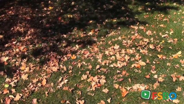 Demo Yard Vac - Yard Vacuum branch chipper by MTD bought from Sears - $615+ new Grand_Rapids, смотреть онлайн