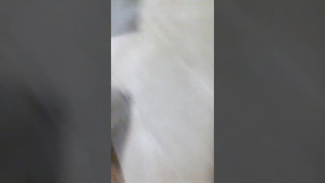 Обзор по даче смотреть онлайн