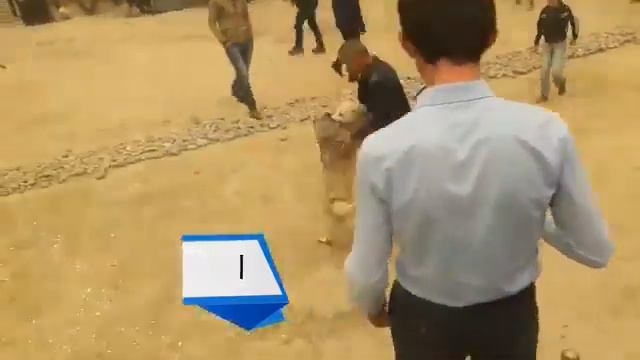 Чанг дар туй ду саг смотреть онлайн