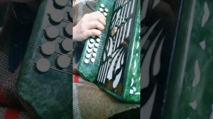 Песня Черная смородина-на гармони,цифры89277382068