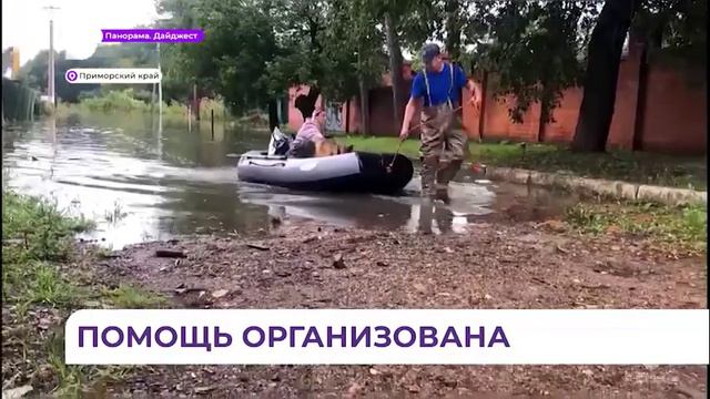 Выработан эффективный алгоритм действий: ситуация в Приморье на контроле губернатора Олега Кожемяко смотреть онлайн