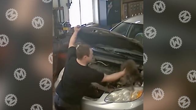 45 Невероятных Моментов, Снятых на Камеры Наблюдения смотреть онлайн