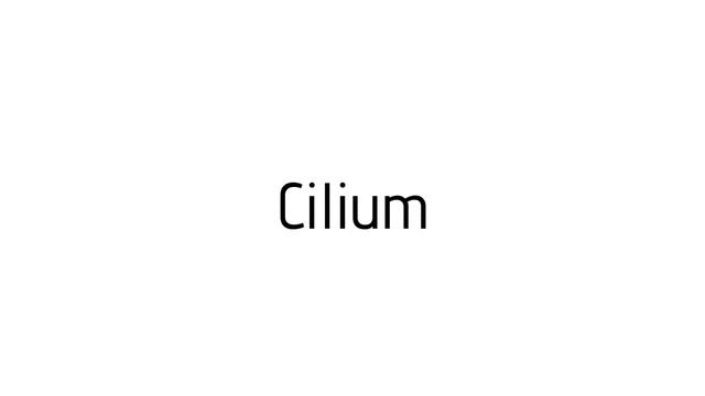 How to pronounce Cilium / Cilium pronunciation смотреть онлайн