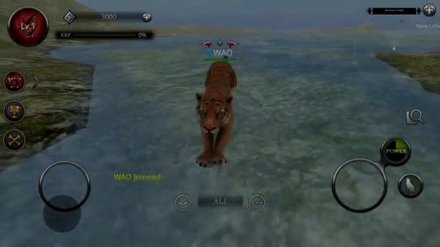 Animals Game, Wild Animals Online's character introduction video смотреть онлайн