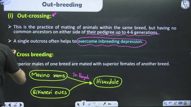 ANIMAL HUSBANDRY in 30 minutes || Complete Chapter for NEET смотреть онлайн