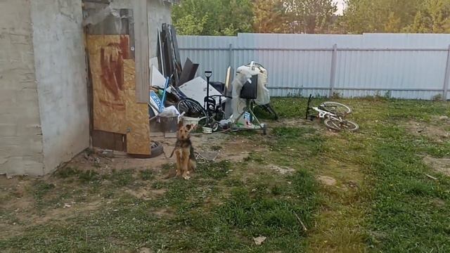 Беларусь | Прокачиваем тормоза | На ужин макароны с тушёнкой смотреть онлайн