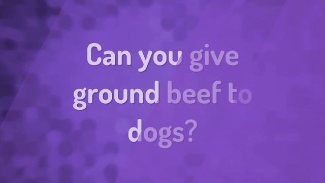 Can I feed my dog ground beef everyday? смотреть онлайн
