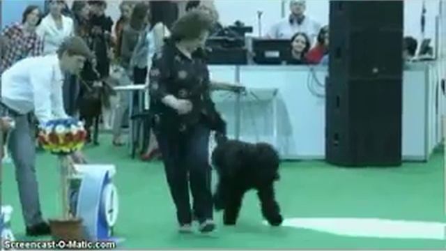 Принц Наследный Сокровище Руси 2014.04.26 смотреть онлайн