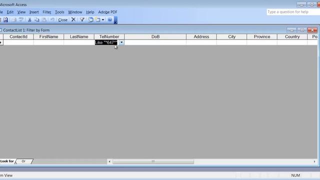 Microsoft Access 2003 pt 2 (Table, Sort, Filter, publish table to Word/Excel) смотреть онлайн