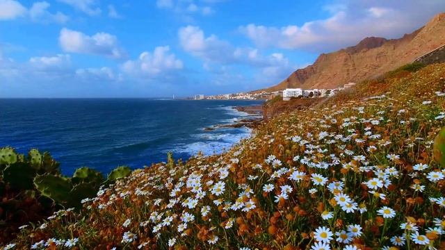 8 июля праздник День Петра и Февронии. День Семьи, Любви и Верности. Что нельзя делать. Приметы смотреть онлайн