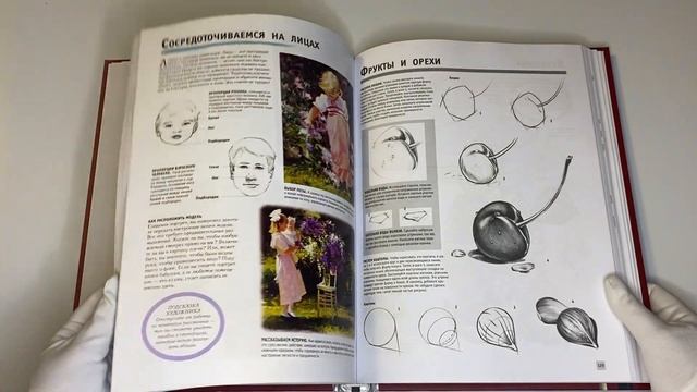 Полный курс рисования и живописи смотреть онлайн