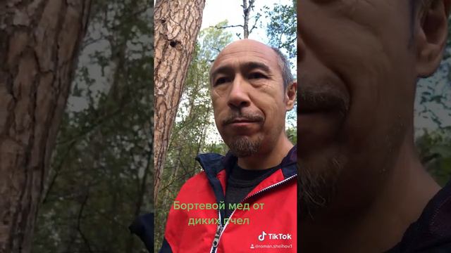 Бортевой мед Бурзянского района смотреть онлайн