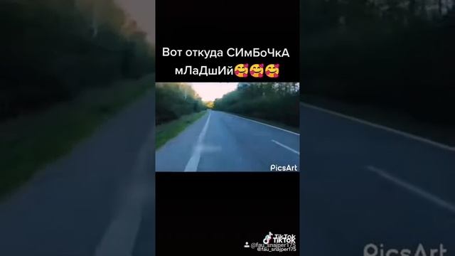 Вот так нашли симбочка младший???#симба #ruzilsaniev  #светлаяпамять #симбачка #кот #ютуб #жаль #то