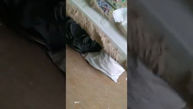 Как приклеить и подрезать потолочный плинтус без тусла,если нет угла 90 градусов. смотреть онлайн