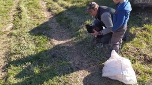 Фазаны в дикой природе. Выпускаем фазанов в дикую природу. Делайте добро и оно обязательно к вам...