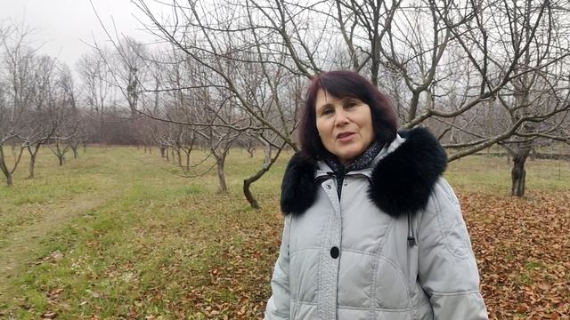 Мхи и лишайники на плодовых деревьях смотреть онлайн