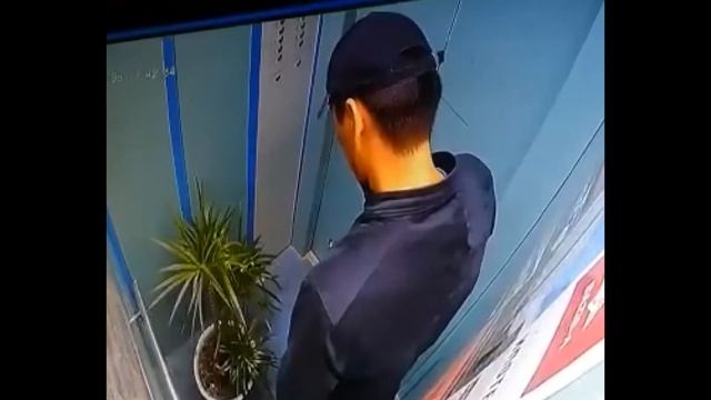 Кража комнатной пальмы из подъезда попала на камеру в Нур-Султане смотреть онлайн