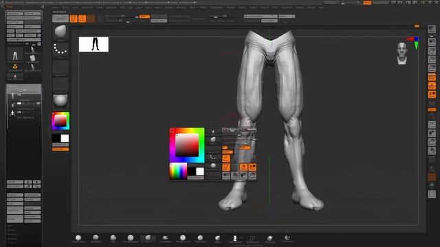 Sculpting Anatomy In Zbrush - Legs - 30 Minute Sketches - NO AUDIO