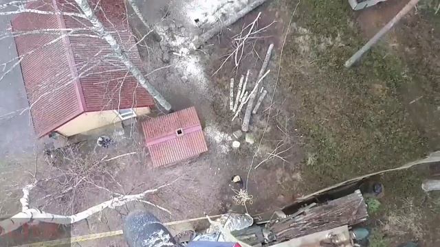 Благоустройство: расчистка участков, спил деревьев, дробление пней смотреть онлайн