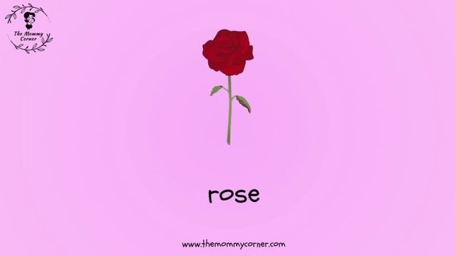 Learn English Vocabulary For Kids | Mother's Day | The Mommy Corner