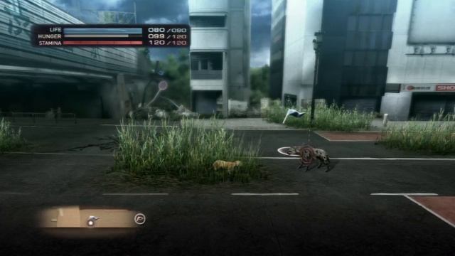 ★ Tokyo Jungle - Part 1 - Intro and Animal Training смотреть онлайн