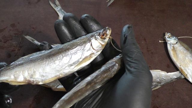 Какую вяленую рыбу можно достать в Темрюке смотреть онлайн