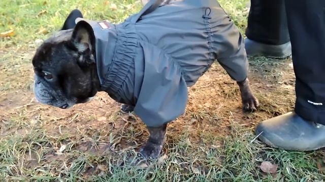 Комбинезон с неразъемной молнией смотреть онлайн