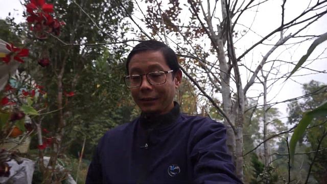 Awesome flower nursery in our Village. Floriculture is a hobby , passion and business. смотреть онлайн