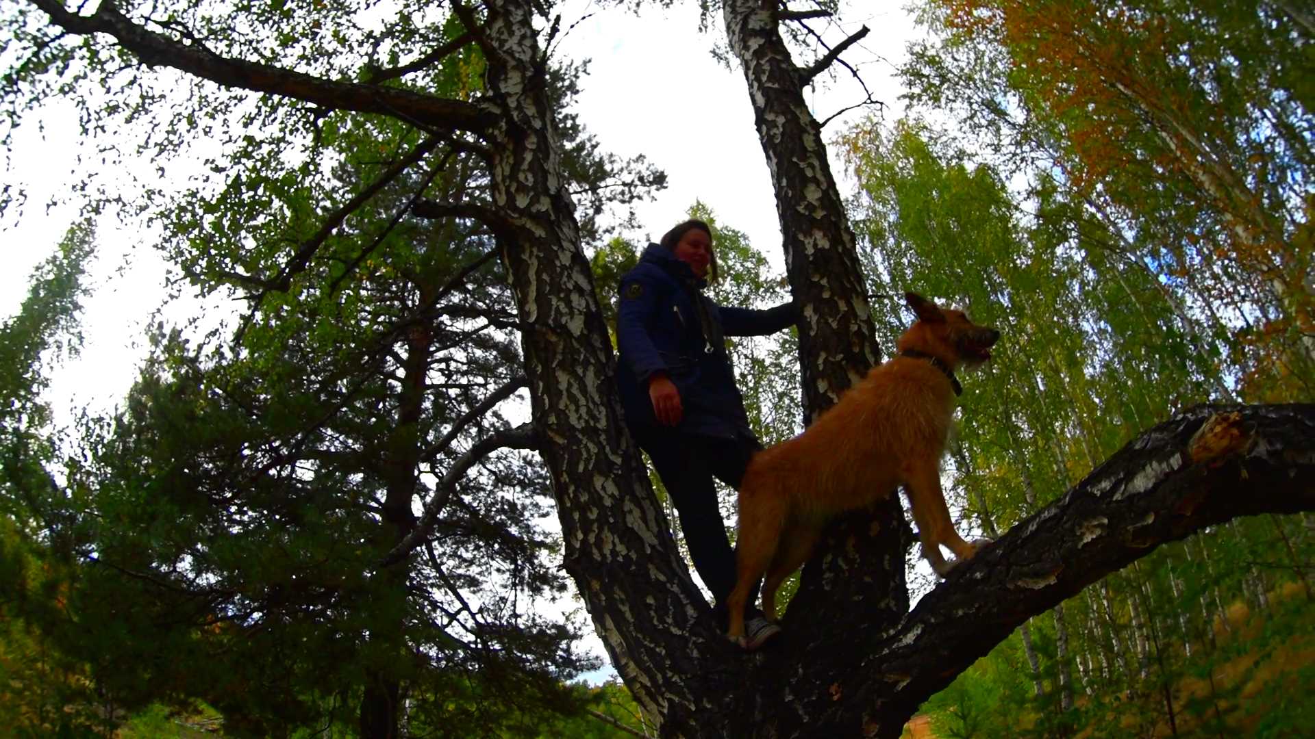 Заюша на дереве. Дурные бабы и береза смотреть онлайн