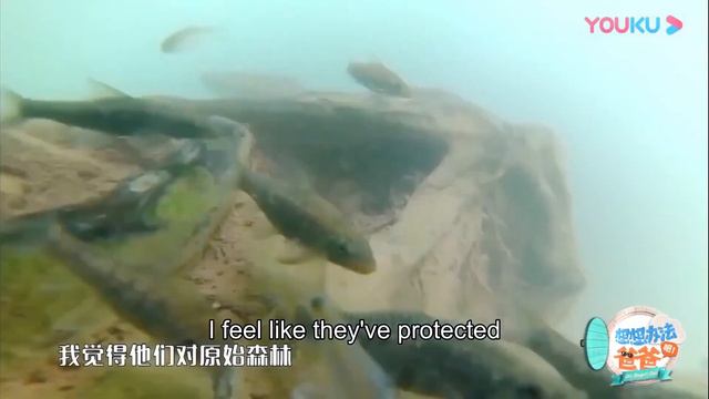 👪陈飞宇用奥特曼哄骗双胞胎一起去爬山，Vctor傻乎乎地信了！ | 李承铉 Lucky 戚薇 | 想想办法吧！爸爸 смотреть онлайн