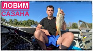 Ловим Сазана на Дону