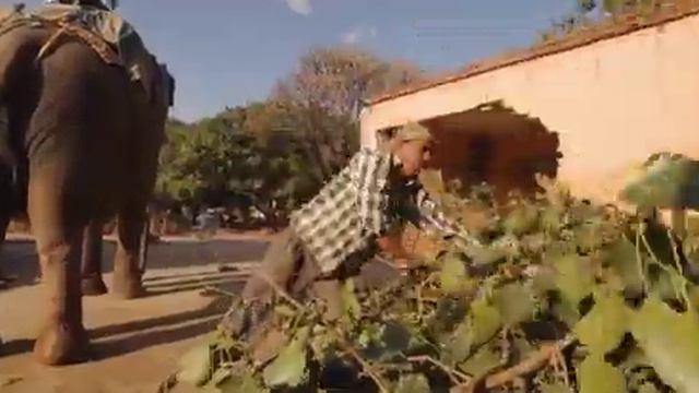 Великая Ганга смотреть онлайн