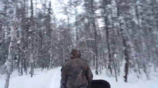 Поездка на буране