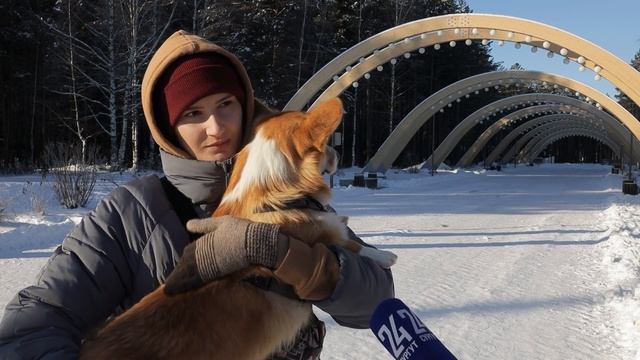 Усы. Лапы. Хвост. Чем кормить и как воспитывать? смотреть онлайн