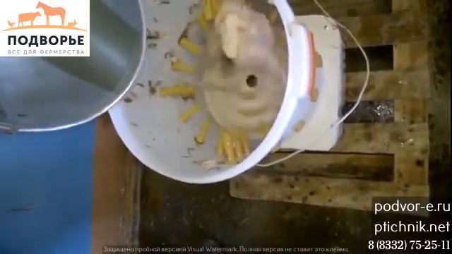 Ощип кур в Перосъемной машине "ПМ3" с использованием воды смотреть онлайн