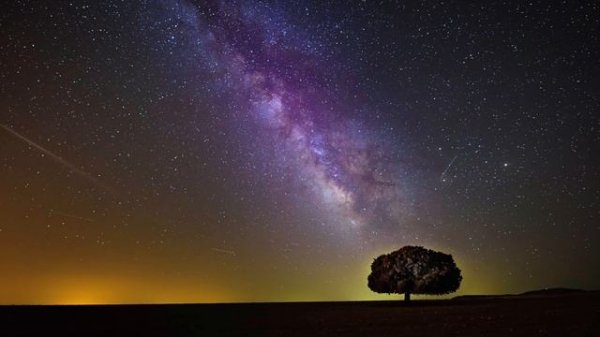 Heal Your Body While You Sleep | Deep Sleep Meditation with Delta Waves | Mindful Movement