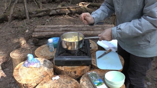 Поход с котом в лесную хижину. Обед под ёлками.