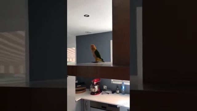 кто стучит смотреть онлайн