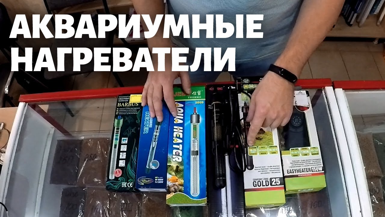 Нагреватели для аквариума: какие бывают и как правильно установить
