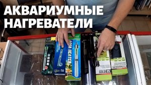 Нагреватели для аквариума: какие бывают и как правильно установить
