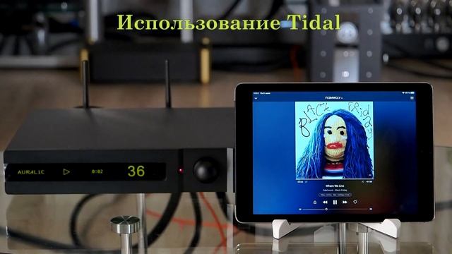 Auralic Polaris смотреть онлайн