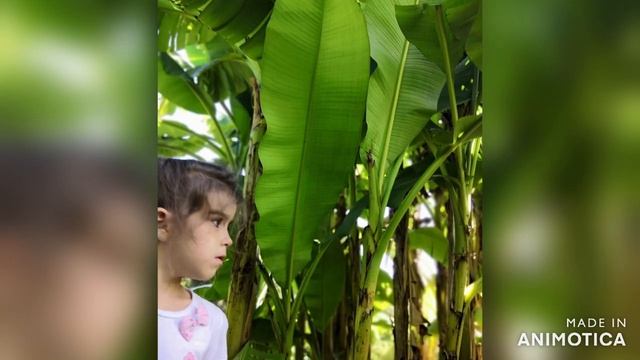 Фоточеллендж "Наши путешествия по Крыму!", приуроченного ко Дню воссоединения Крыма с Россией смотреть онлайн